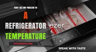 Can You Safely Set Your Freezer to Refrigerator Temperature?