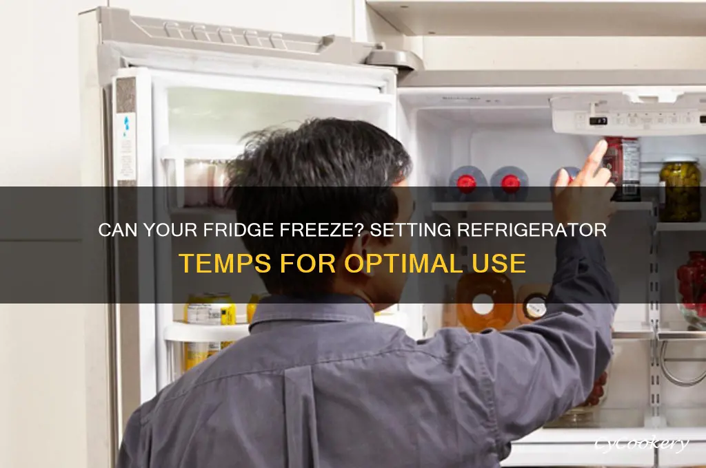 can i set my refrigerator to be freezing