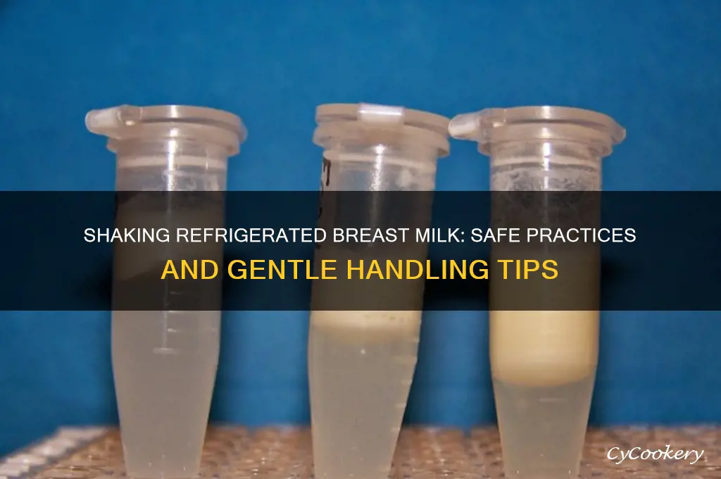 can i shake refrigerated breast milk