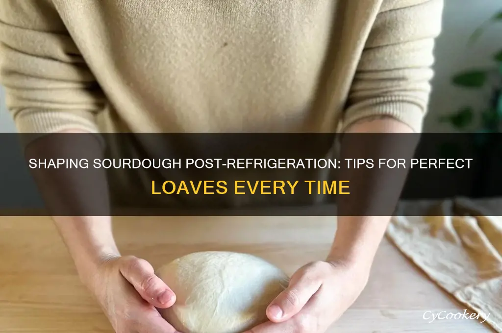 can i shape sourdough after refrigeration