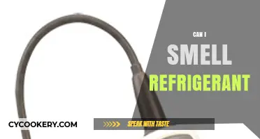 Can You Smell Refrigerant? Detecting Leaks and Safety Tips
