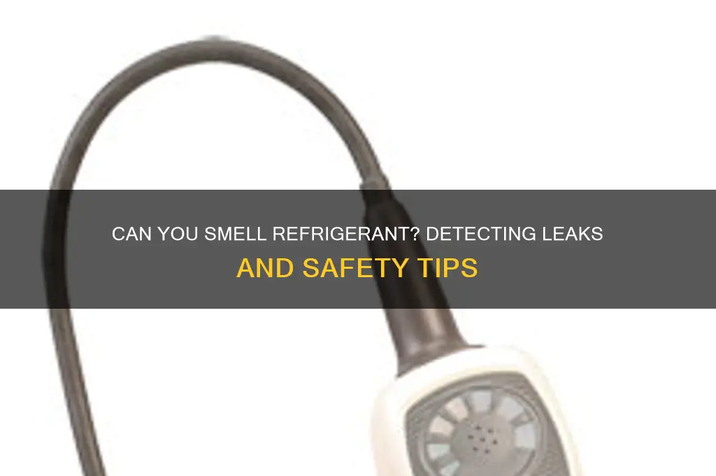 can i smell refrigerant