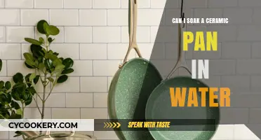 Ceramic Pans: Safe to Soak in Water?