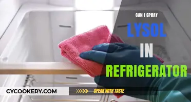 Is It Safe to Spray Lysol Inside Your Refrigerator?