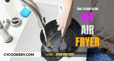 Steam Cleaning Your Air Fryer: Is It Possible?