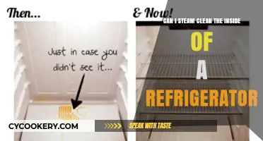 Steam Cleaning Your Fridge: Safe and Effective Interior Cleaning Tips