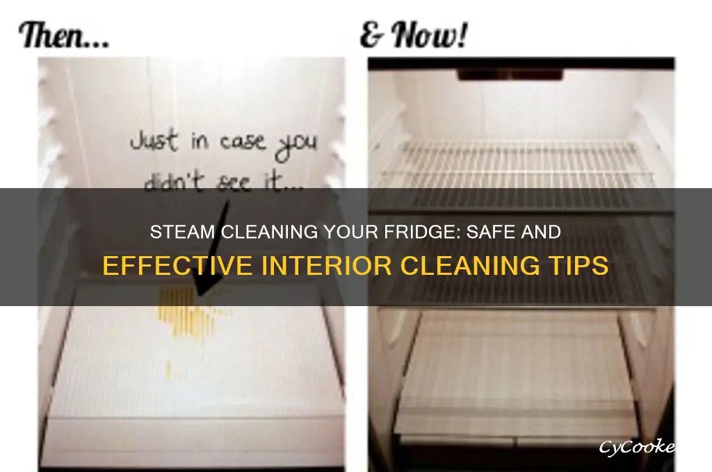 can i steam clean the inside of a refrigerator