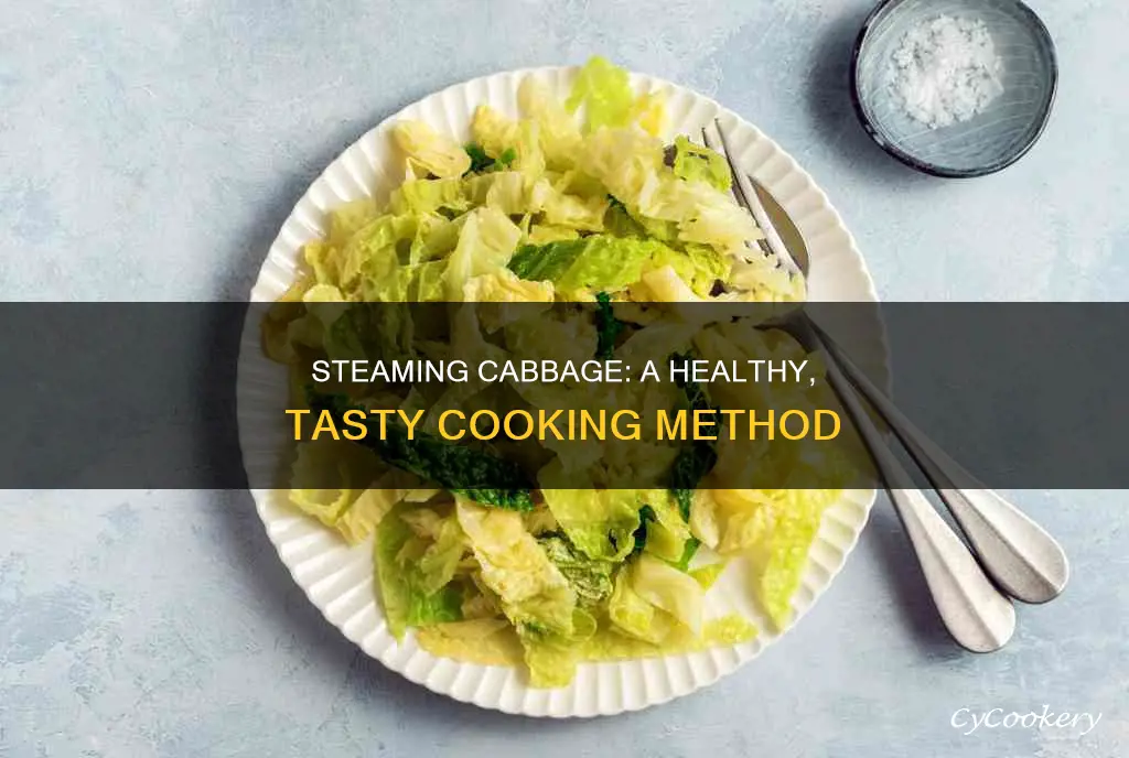 can i steam cook cabbage