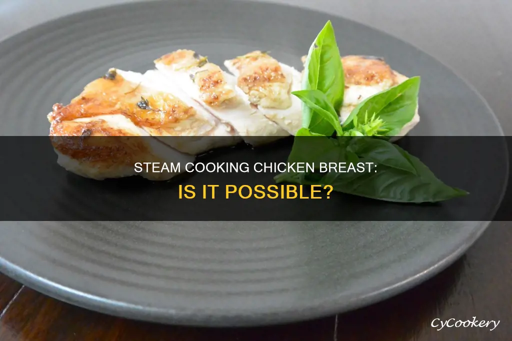 can i steam cook chicken breast