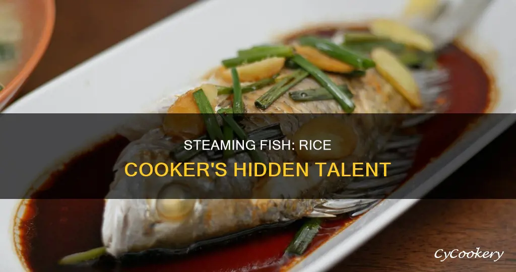 can i steam fish in a rice cooker