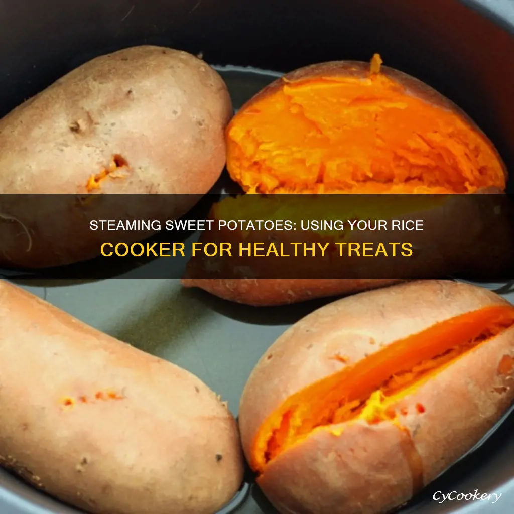 can i steam sweet potato in rice cooker