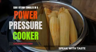 Steaming Tamales: Power Pressure Cooker Method