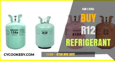 Where to Find R12 Refrigerant: Legal Options and Alternatives Explained