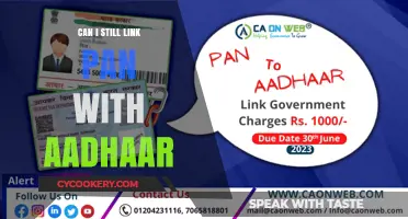Linking PAN with Aadhaar: Is it still possible?
