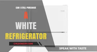 White Refrigerators: Are They Still Available for Purchase?
