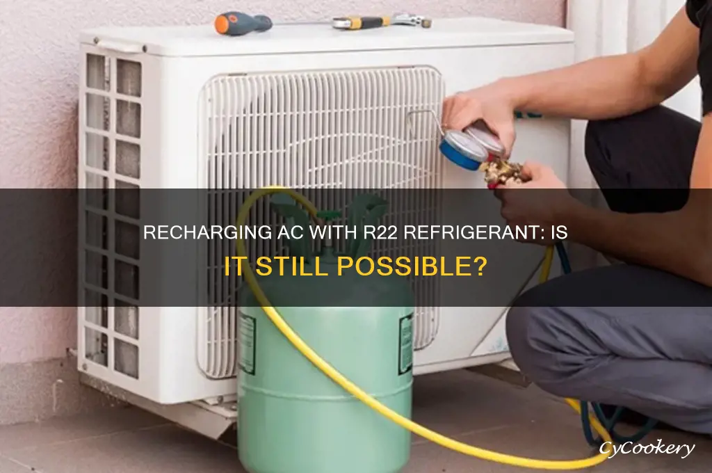 can i still recharge my ac with r22 refrigerant