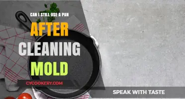Cleaning Mold from Pans: Safe to Use or Time to Replace?