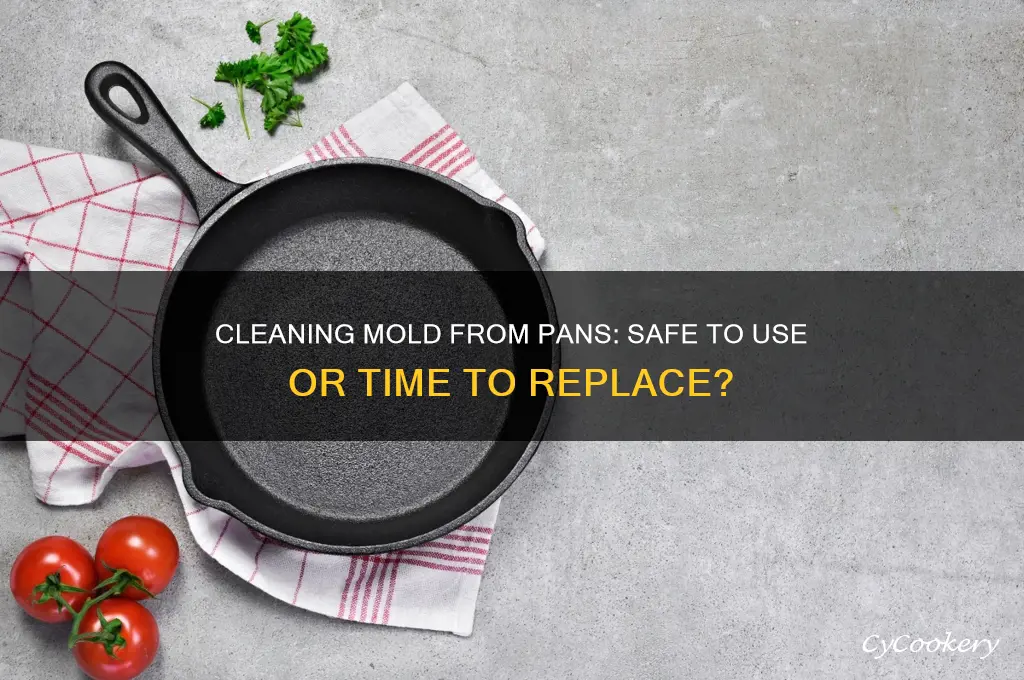 can I still use a pan after cleaning mold