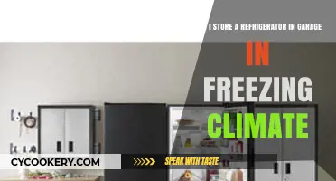 Storing a Refrigerator in a Freezing Garage: Risks and Solutions