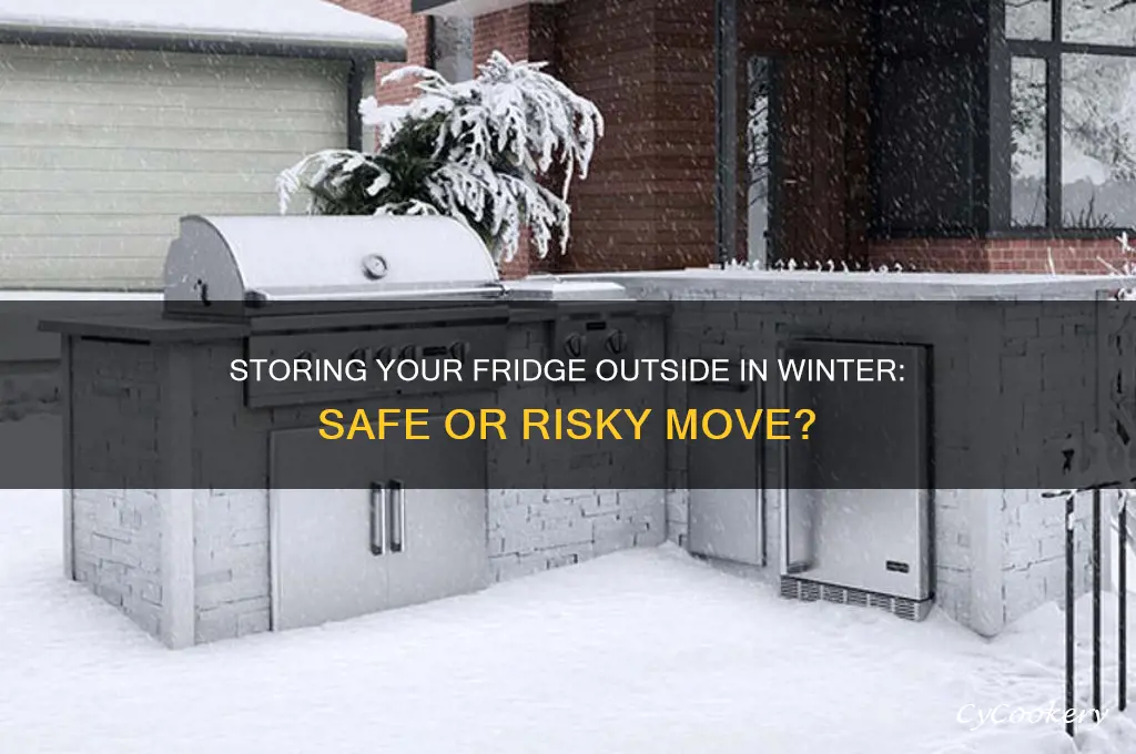 can i store a refrigerator outside in the winter