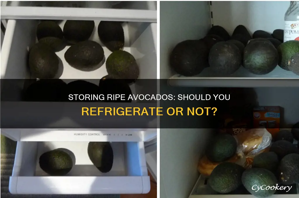 can i store a ripe avocado in the refrigerator
