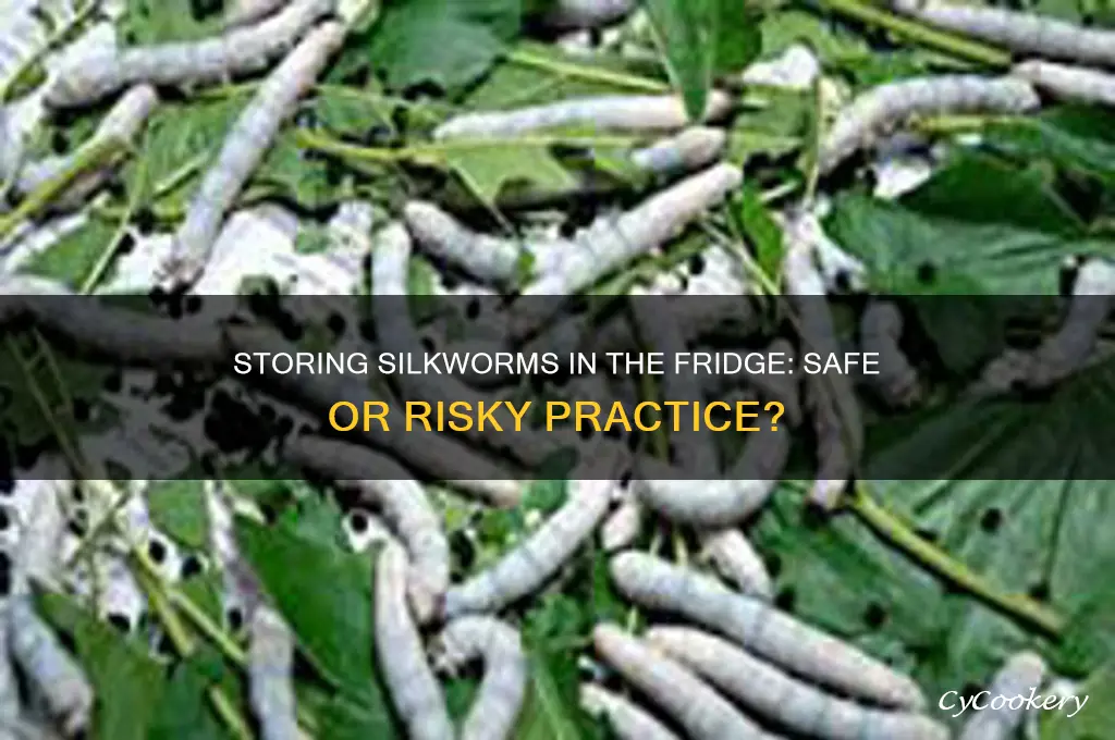 can i store a silkworm in refrigerator