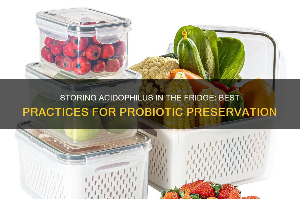 can i store acidophius in refrigerator
