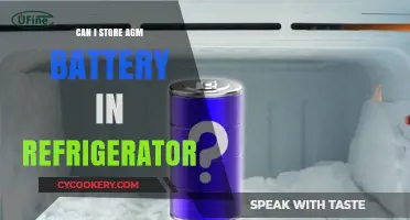Storing AGM Batteries in the Fridge: Safe or Risky Practice?