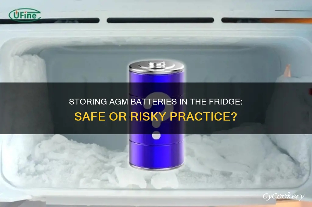can i store agm battery in refrigerator