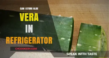Storing Aloe Vera in the Fridge: Benefits, Risks, and Best Practices