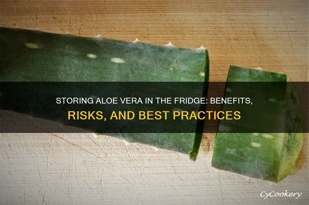 can i store aloe vera in refrigerator