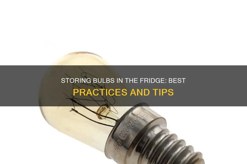 can i store bulbs in the refrigerator