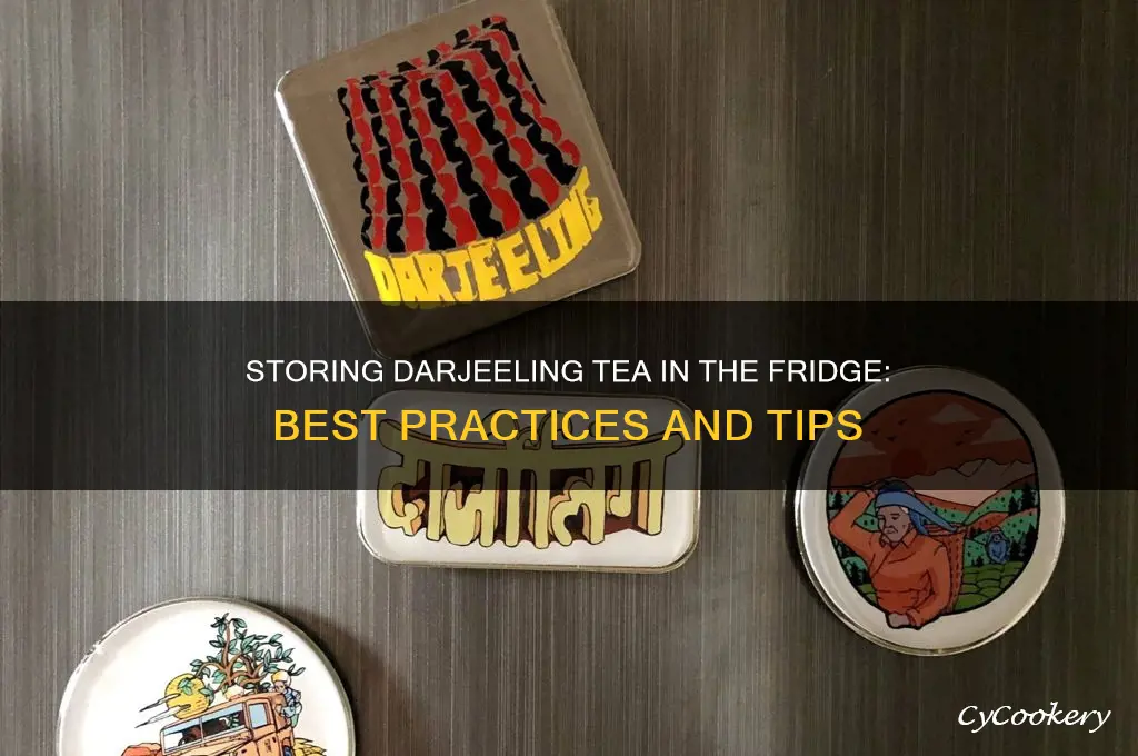 can i store darjeeling tea in refrigerator