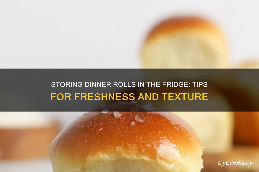can i store dinner rolls in refrigerator
