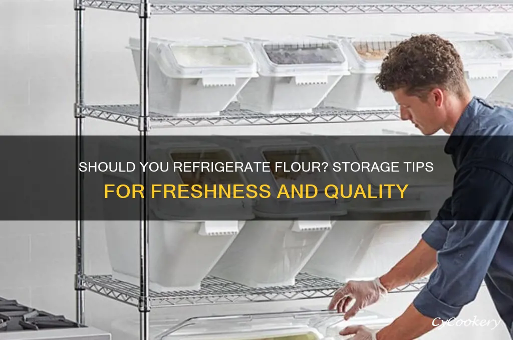 can i store flour in the refrigerator