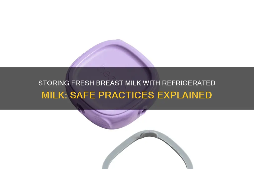 can i store fresh breast milk with refrigerated milk
