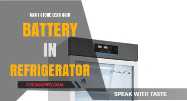 Storing Lead Acid Batteries in Refrigerators: Safe Practice or Risky Move?