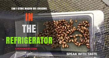Storing Mason Bee Cocoons: Refrigerator Tips for Healthy Emergence