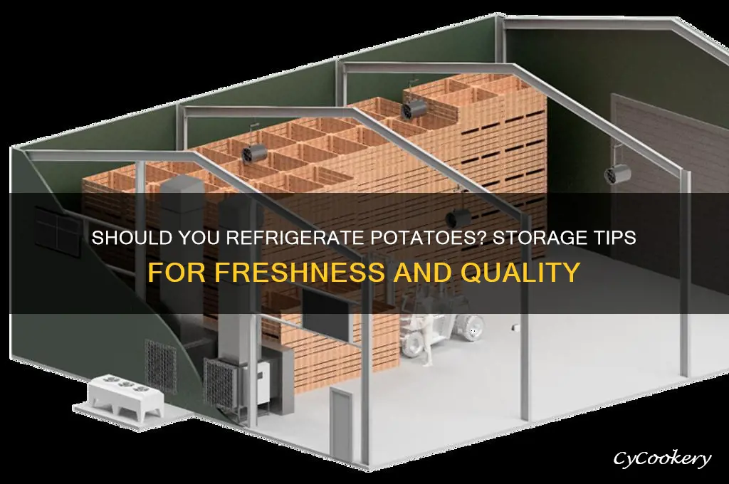 can i store my potatoes in the refrigerator