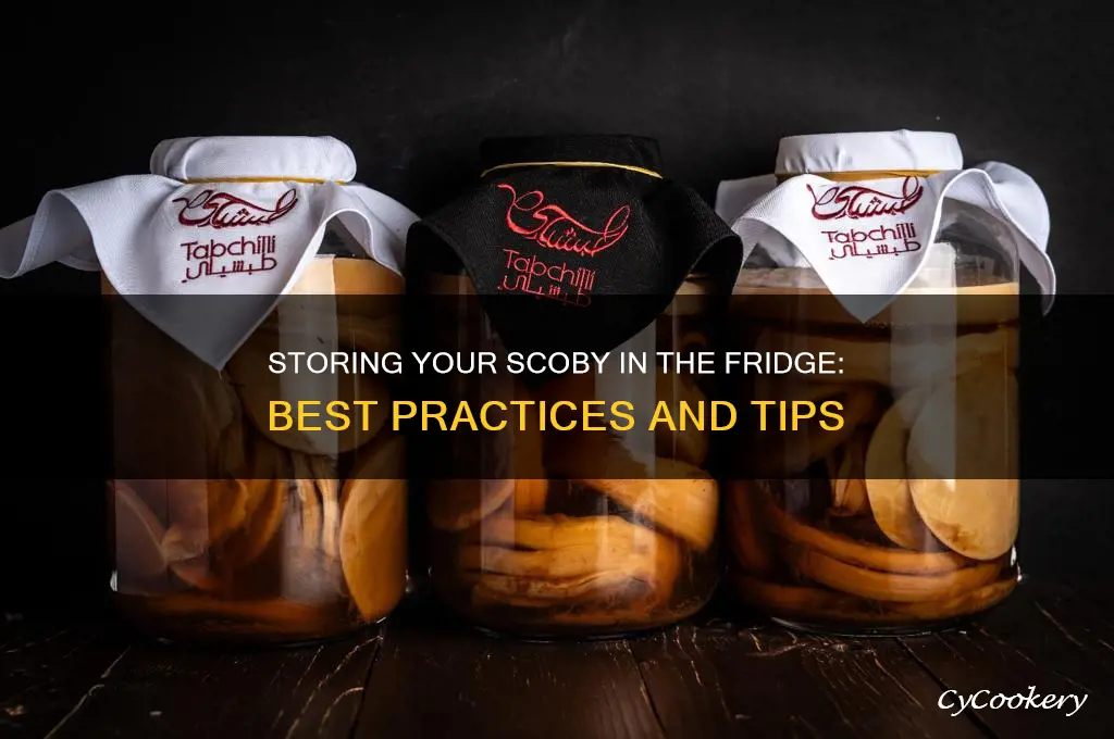 can i store my scoby in the refrigerator