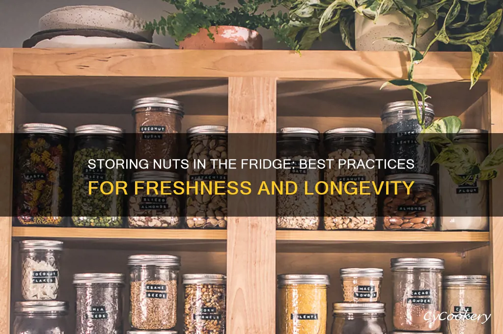 can i store nuts in the refrigerator