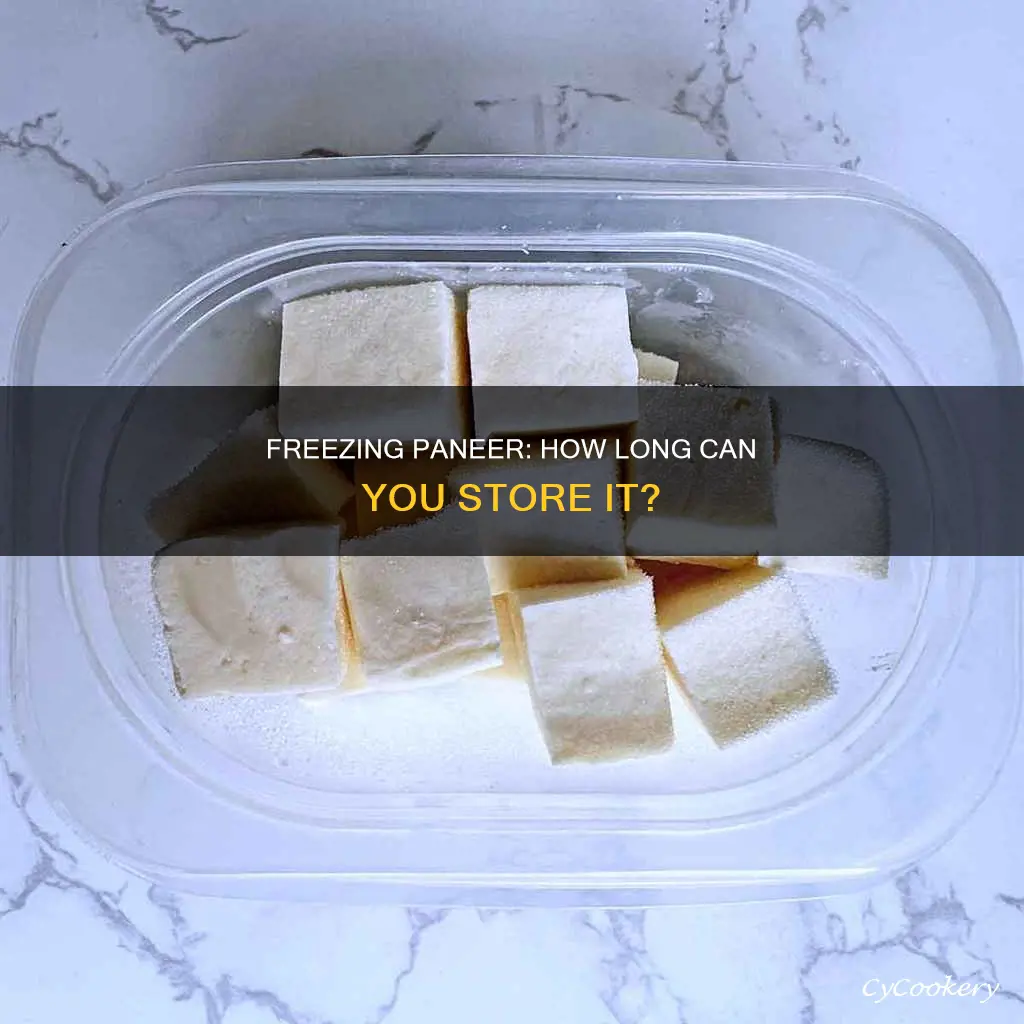 can I store paneer in the freezer