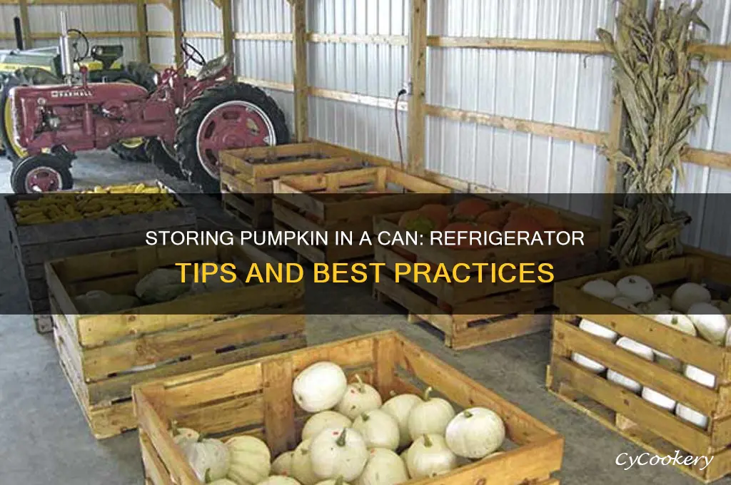can i store pumpkin in the can in the refrigerator