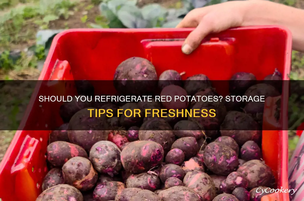can i store red potatoes in the refrigerator