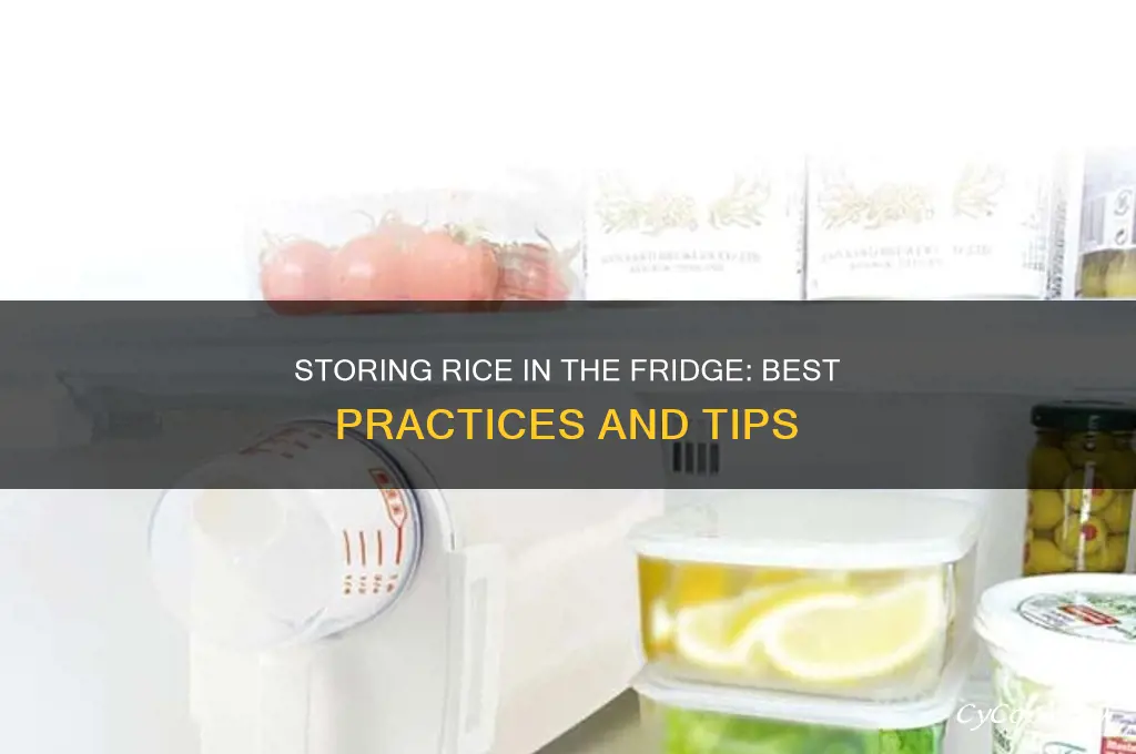 can i store rice in the refrigerator