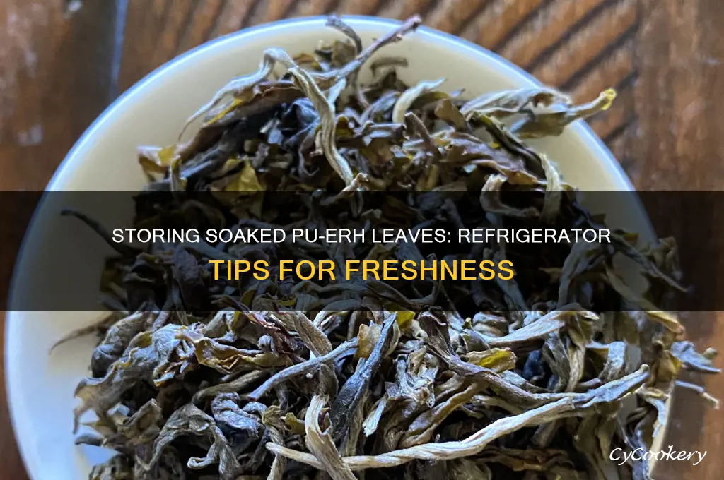 can i store soaked puer leaves in the refrigerator