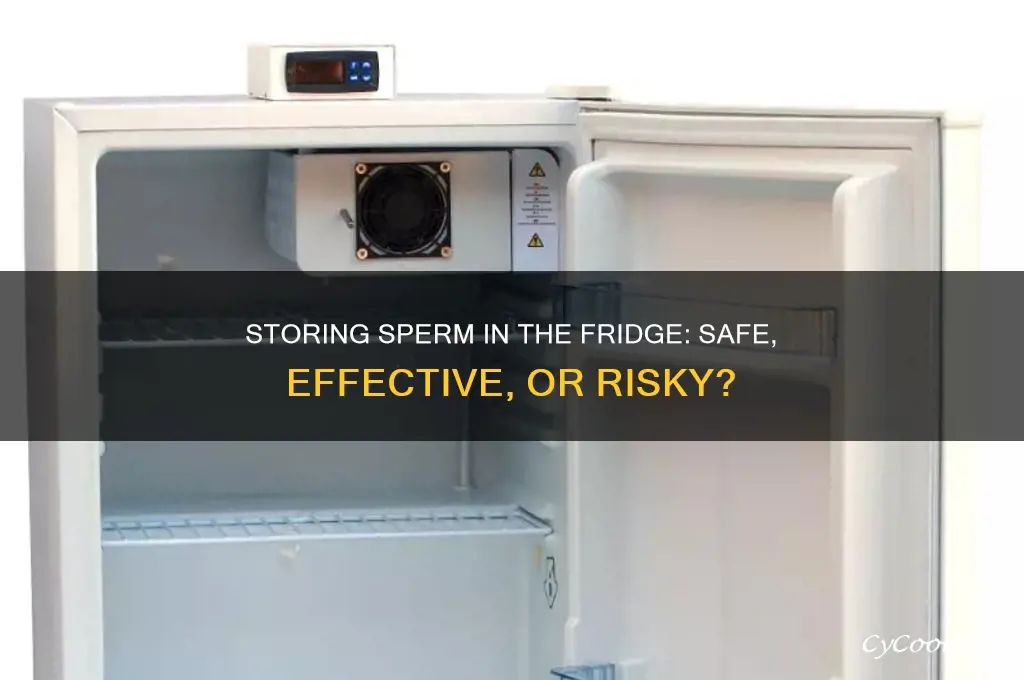 can i store sperm in the refrigerator