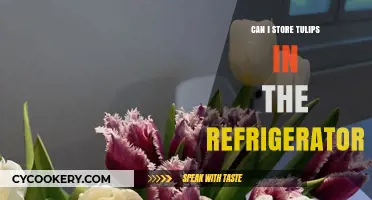 Storing Tulips in the Fridge: Tips for Freshness and Longevity