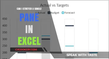 Expanding Excel Horizons: Stretching Single Panes to Maximum Width