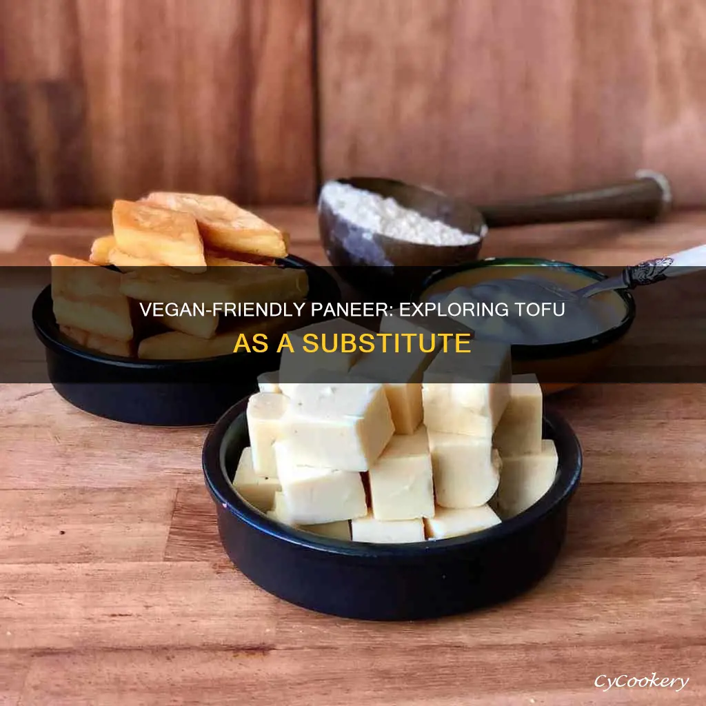 can I substitute paneer for tofu